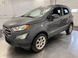 Used 2019 Ford EcoSport SE image 2