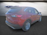 Used 2022 Ford Escape SE image 5