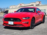 Used 2020 Ford Mustang Premium image 3