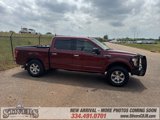 Used 2016 Ford F150 XLT w/ Equipment Group 302A Luxury image 5