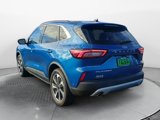 Used 2023 Ford Escape Platinum image 6