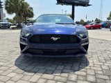 Used 2019 Ford Mustang Convertible w/ Equipment Group 101A image 3
