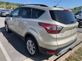 Used 2017 Ford Escape SE w/ Equipment Group 201A image 2