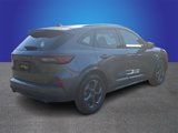 Used 2023 Ford Escape ST-Line w/ Tech Pack #1 image 4