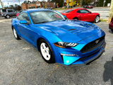 Used 2019 Ford Mustang Coupe image 5