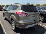 Used 2014 Ford Escape SE w/ Equipment Group 201A image 2