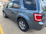 Used 2011 Ford Escape Limited w/ 302A Rapid Spec Order Code image 2
