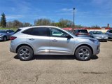 Used 2024 Ford Escape ST-Line w/ Tech Pack #1 image 4