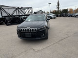 Used 2019 Jeep Cherokee Latitude Plus w/ Cold Weather Group image 6