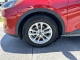 Used 2020 Ford Escape SE image 4