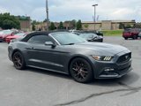 Used 2017 Ford Mustang Premium image 3