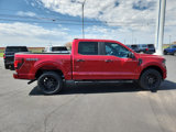 New 2024 Ford F150 STX w/ STX Black Appearance Package image 5