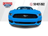 Used 2017 Ford Mustang Coupe image 2