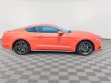 Used 2016 Ford Mustang Coupe w/ Interior & Wheel Package image 4