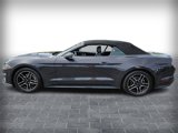 Used 2023 Ford Mustang Premium image 4