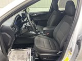 Used 2023 Ford Escape Active w/ Tech Pack #2 image 2