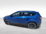 Used 2017 Ford Escape Titanium image 5