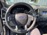 Used 2019 Ford F150 XL w/ Equipment Group 101A Mid image 2