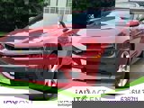 View Video