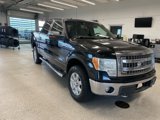 Used 2013 Ford F150 XLT image 3