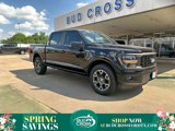 New 2025 Ford F150 STX image 1