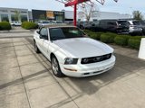 Used 2007 Ford Mustang Deluxe image 4