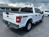 Used 2019 Ford F150 XLT image 5