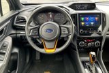 Used 2024 Subaru Forester Wilderness image 5