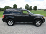 Used 2011 Ford Escape XLT image 3