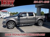 Used 2014 Ford F150 XLT w/ Equipment Group 302A Luxury image 4