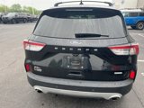 Used 2020 Ford Escape SEL image 3