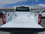 New 2024 Ford F350 XL w/ XL Driver Assist Package image 5
