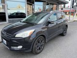 Used 2014 Ford Escape Titanium image 4