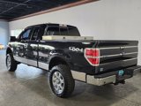 Used 2014 Ford F150 XLT w/ Equipment Group 302A Luxury image 6