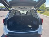 Used 2019 Subaru Forester Limited image 5