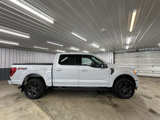 Used 2021 Ford F150 XLT w/ Equipment Group 302A High image 2