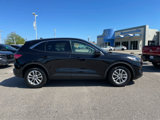 Used 2021 Ford Escape SE image 2