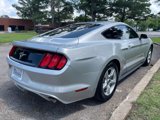 Used 2016 Ford Mustang Coupe image 5