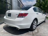 Used 2010 Honda Accord EX-L image 5
