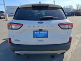Certified 2022 Ford Escape SE image 5