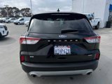Certified 2020 Ford Escape SE Sport image 4