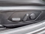 Certified 2023 Hyundai Elantra Limited image 4