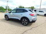 Used 2022 Ford Escape SE w/ SE Sport Appearance Package image 5
