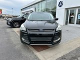 Used 2014 Ford Escape SE w/ Equipment Group 201A image 2