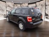 Used 2008 Ford Escape XLT image 6