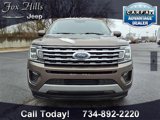 Used 2019 Ford Expedition Max XLT image 2