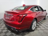 New 2025 Cadillac CT5 Premium Luxury image 6
