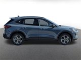 New 2025 Ford Escape ST-Line w/ Tech Pack #1 image 2