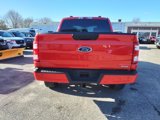 Used 2021 Ford F150 XL w/ STX Appearance Package image 6