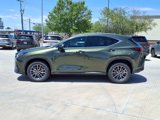 New 2025 Lexus NX 350h AWD w/ Premium Package image 3